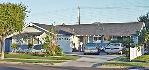 dr-terry-tewell1 Fumigation, Huntington Beach