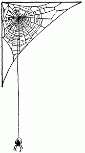 corner-spider-web
