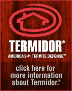 Termidor