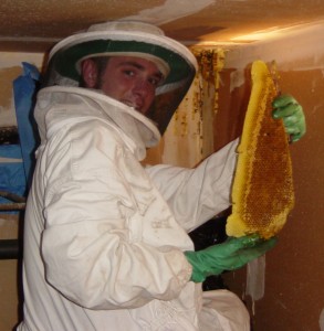 Removing Honeycomb