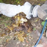 3rd picture More bee hives.