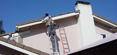 termite-inspection-huntington-beach-1 Huntington Beach Termite Damage & Dryrot Repairs