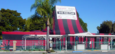 termite-inspection-huntington-beach-2 Termite Fumigation of The New Huntington Beach Farmer’s Market!