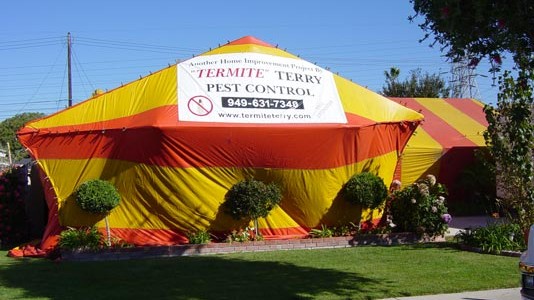 Termite Terry, your fumigation experts! Call 949-631-7348 today.