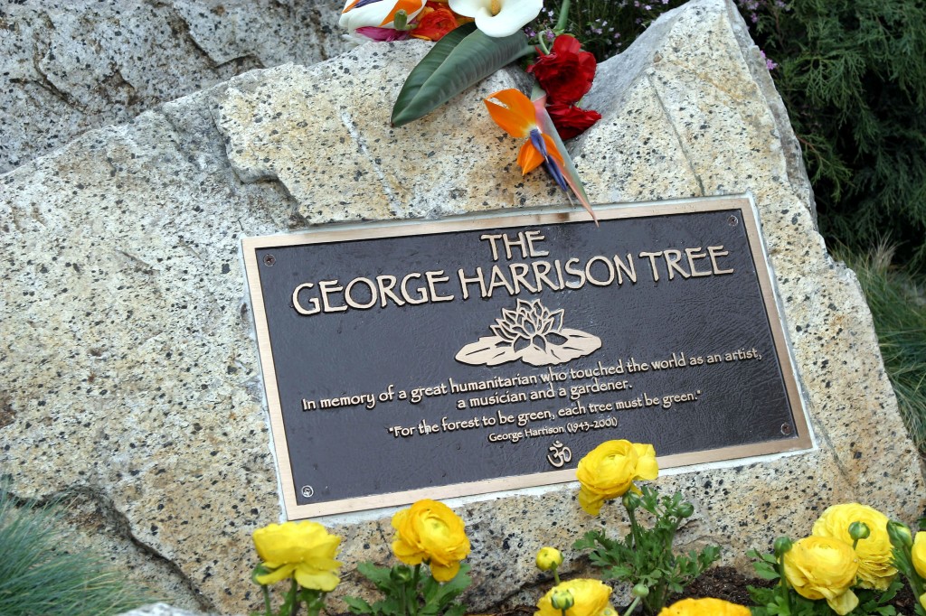 harrison tree