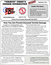 tt-newsletter-September-201