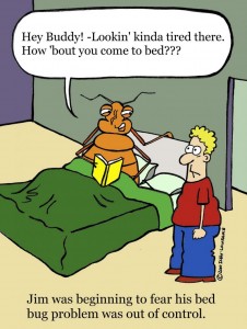 bedbug_cartoon.34105324_std