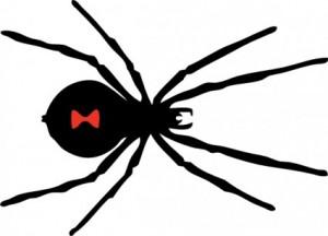 black_widow_spider_clip_art_6115