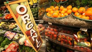OrganicFoodHealth_m_0904