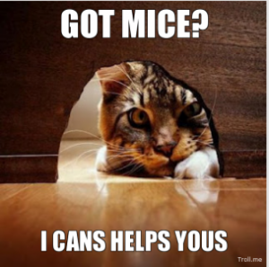 got-mice-i-cans-helps-yous-thumb