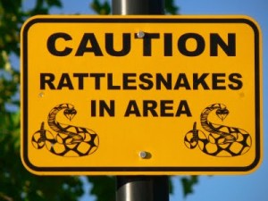 rattlesnake-warning-sign