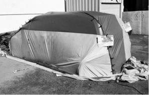 Bed bugs? Fumigation