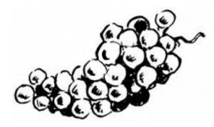 pest-contro-grapes-orange-county-ca