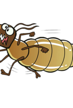 Termite cartoon -