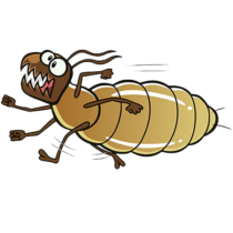 Termite cartoon -